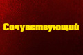 Сочувствующий